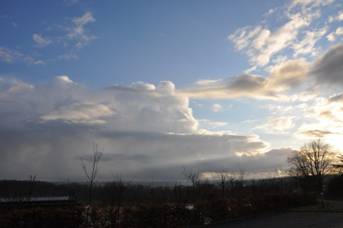 DSC_0520 [50%] [50%].JPG