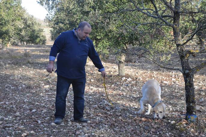 Truffire-DSC_0145 [50%].JPG