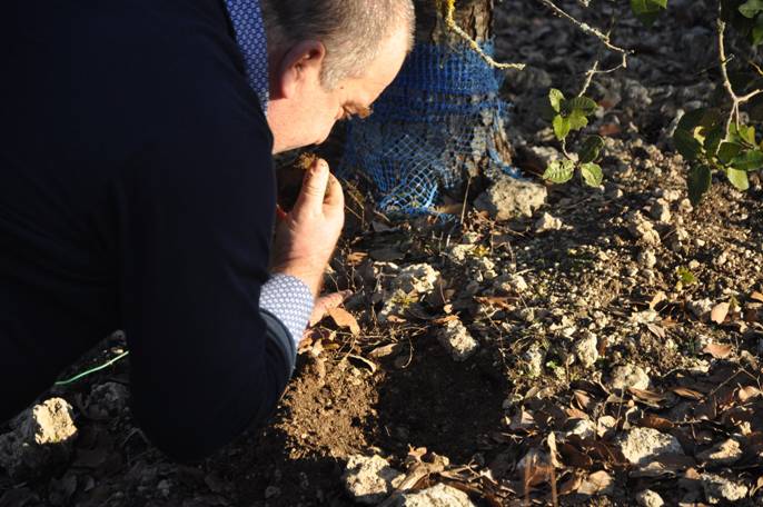 Truffire-DSC_0148 [50%].JPG