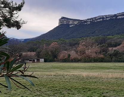 GDL2020-PicStLoup-20200119_091542 [50%].jpg